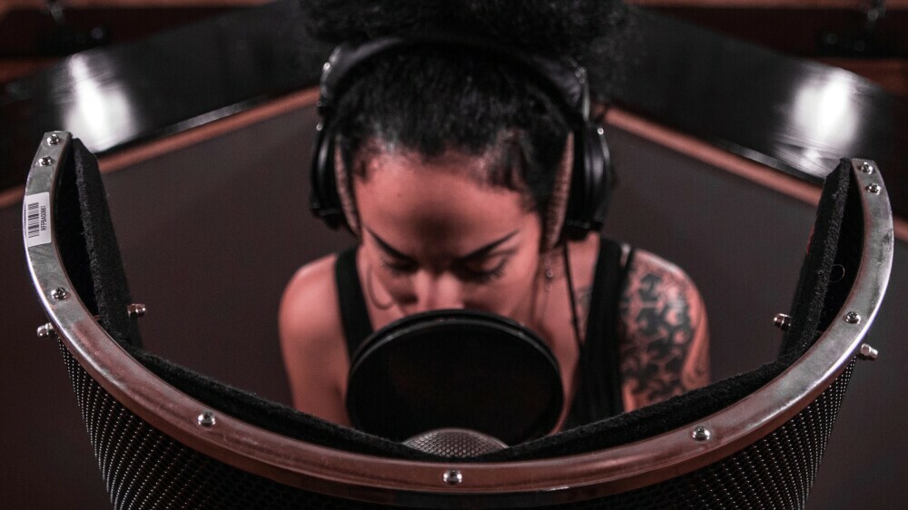 SE Electronics Reflexion Filter Pro